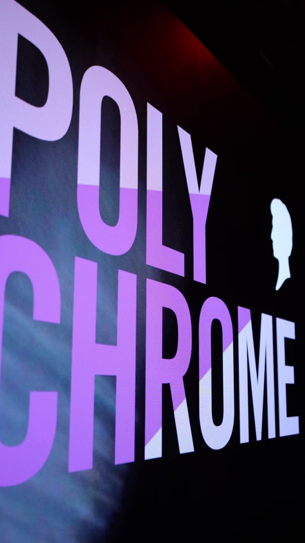 Schwarzkopf Polychrome 2026